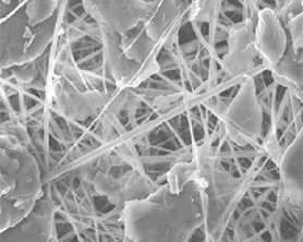 Poly L Lactic Acid Filler   Poly L Lactic Acid Filler