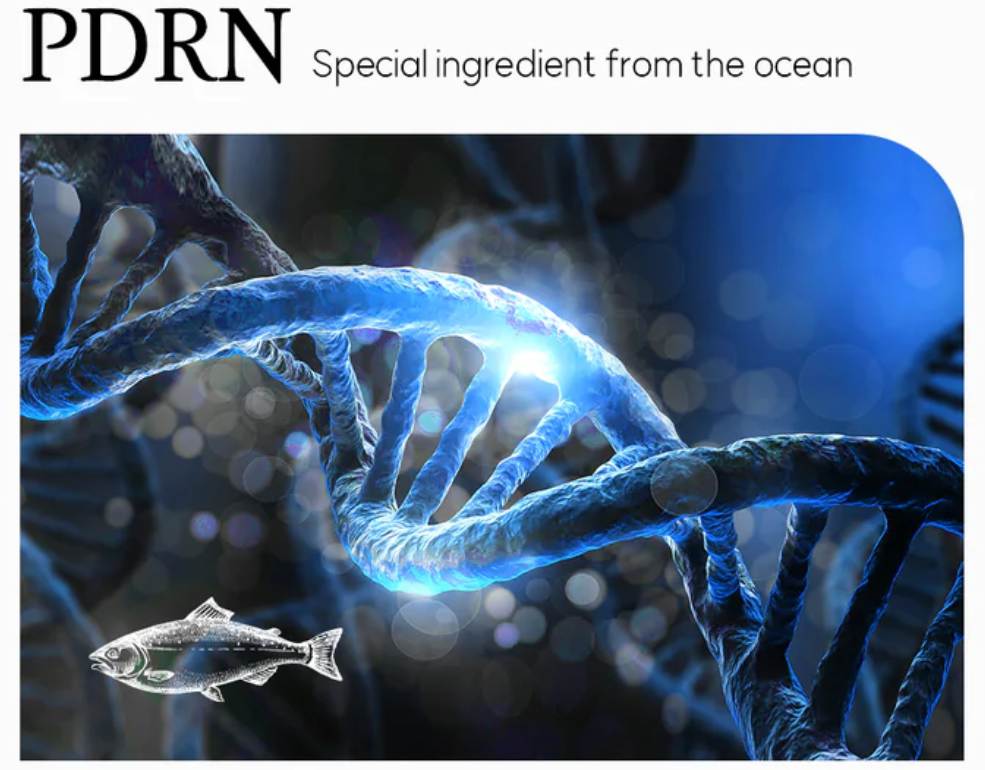 What is the PDRN (2) What is the PDRN (2)