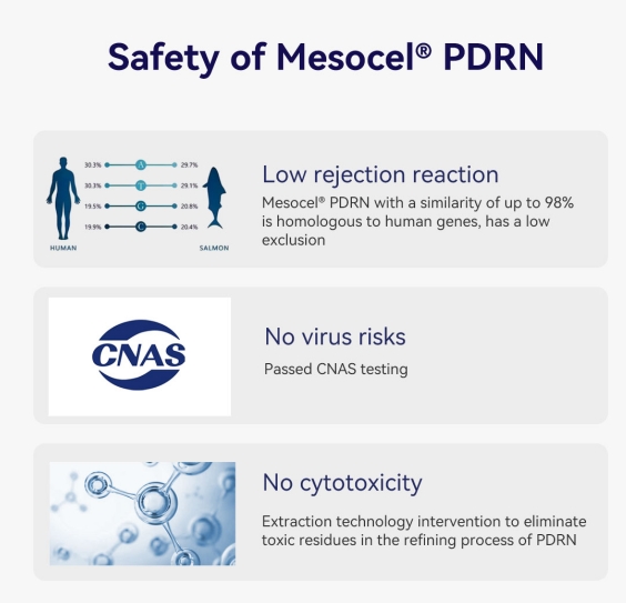 Mesocel PDRN Salmon Ampoule safety Mesocel PDRN Salmon Ampoule safety