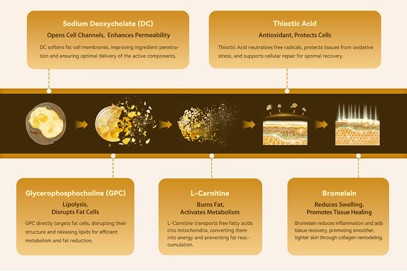 LipoGo Injection Lipolysis LipoGo Injection Lipolysis