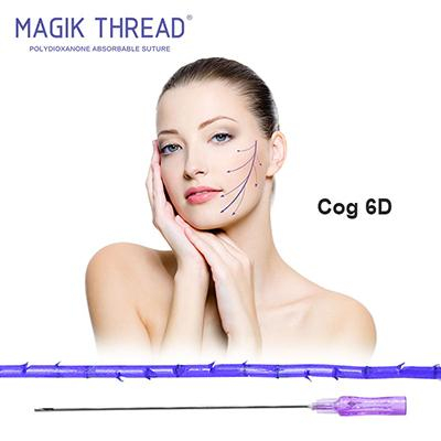 Pdo Thread Company