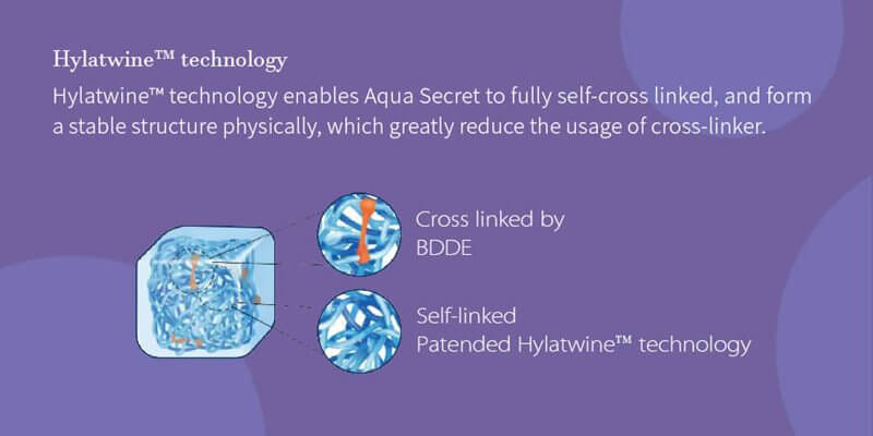 图3Aqua Secret Smoocy korean lip filler Hylatwine technology