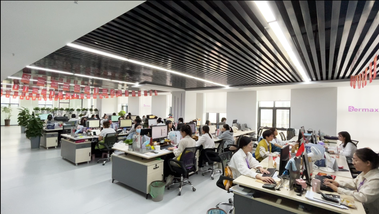 Dermax company