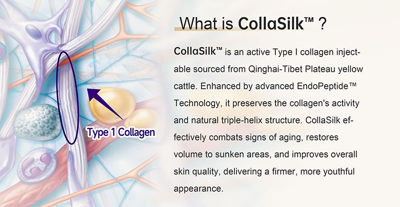CollaSilk™ Bovine Type 1 Collagen