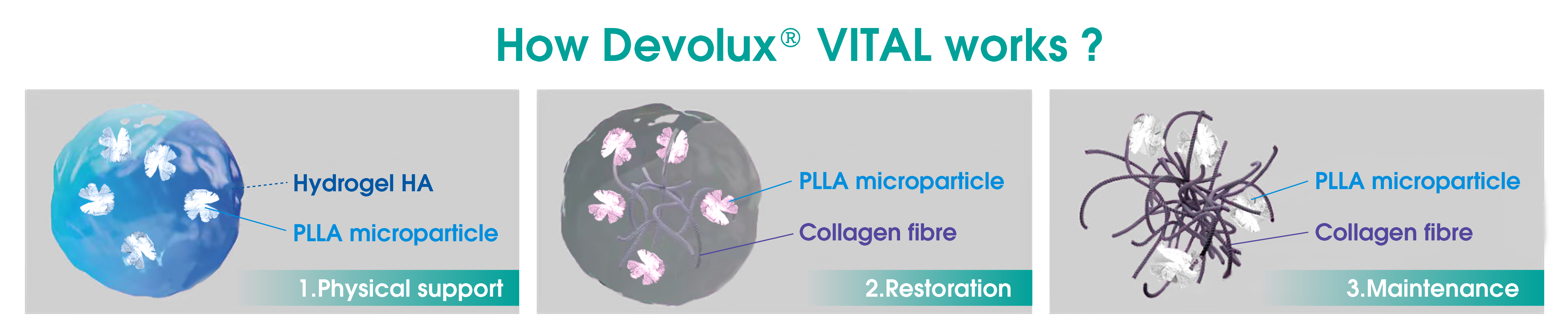 poly l lactic acid filler true reviews