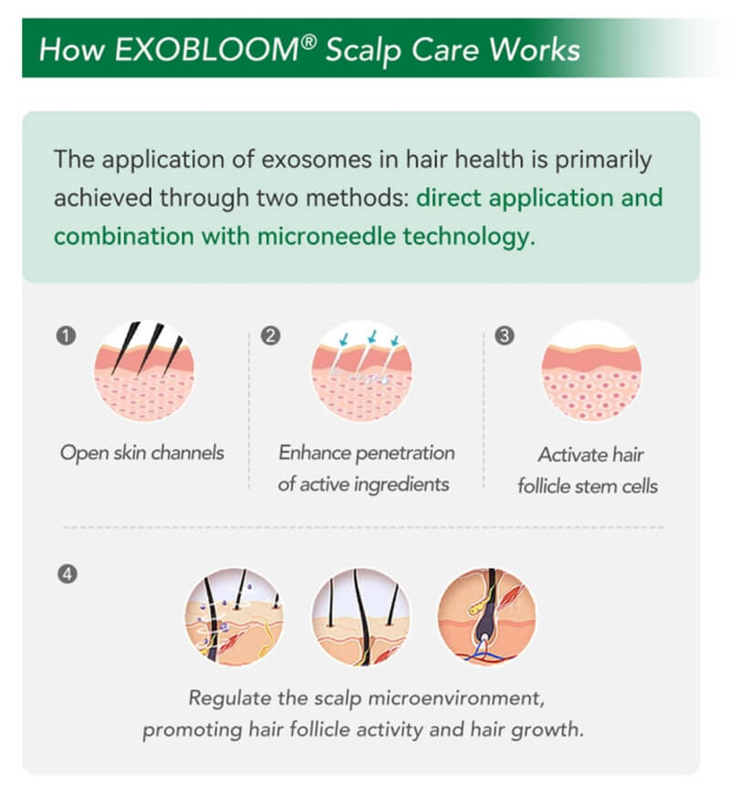 how exobloom scalp care works