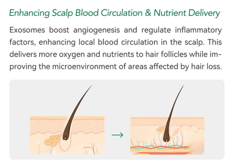 EXOBLOOM Scalp Care hair mesotherapy products are Clinically Proven To