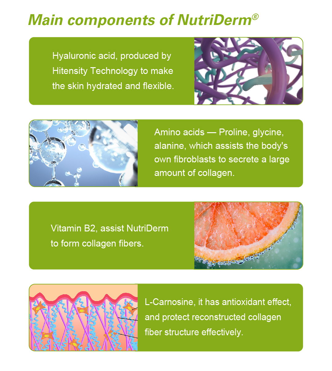 NutriDerm Perioral Lines Dermal Fillers