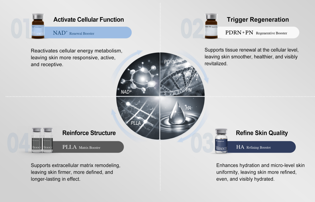 MESOCEL&reg; Protocol