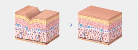 Buy EXOBLOOM&trade; Exosome (1)