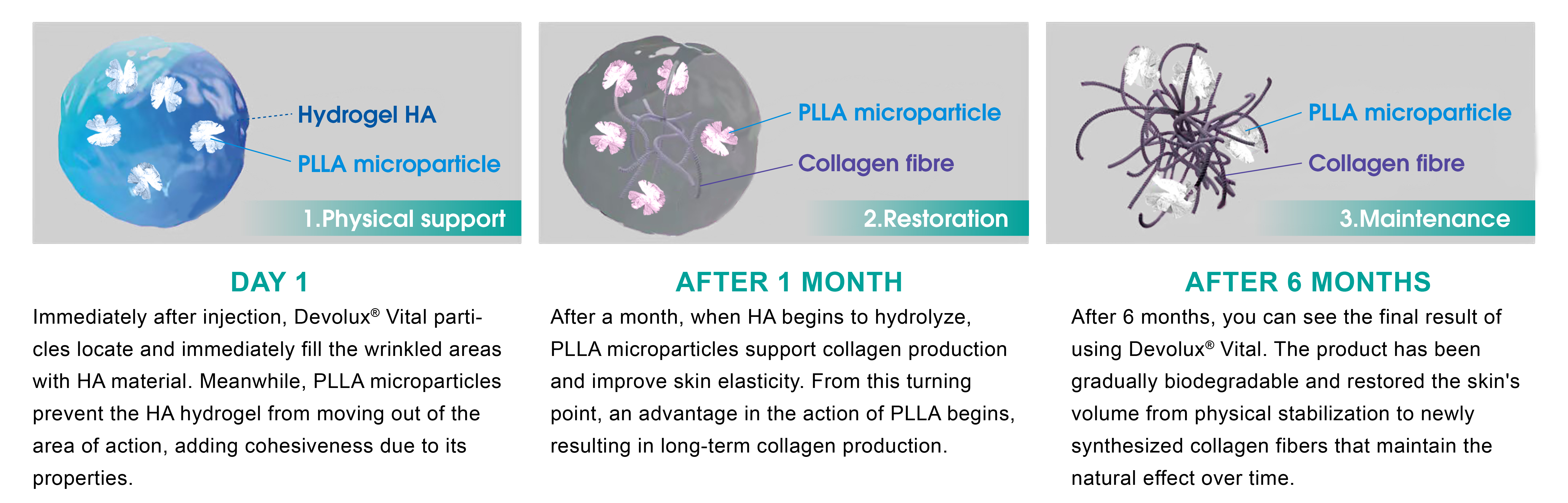 how does Devolux Vital work