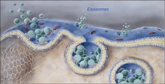 Are Exosomes Dangerous? Safety, Risks & Side Effects Guide