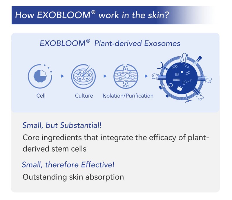 how exobloom work in the facial skin