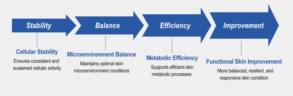 Functional Recovery Pathway