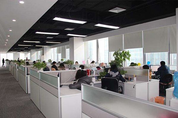 About Dermax-2