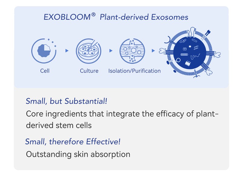 exobloom exosome skin booster injection